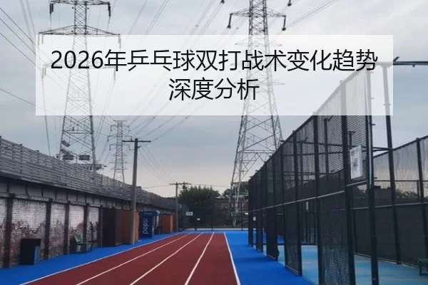 2026年乒乓球双打战术变化趋势深度分析
